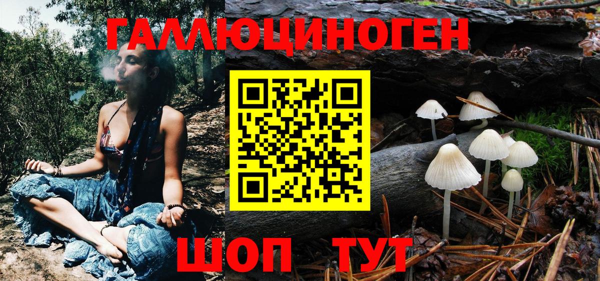 Псилоцибиновые грибы Psilocybe Обнинск